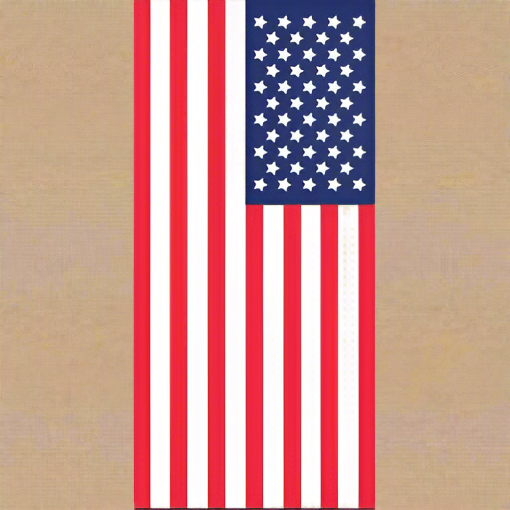 USA Flag Towel