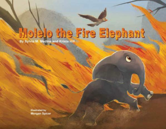 Green Kids Club Molelo the Fire Elephant