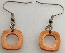 JEWELRY FASHION Open Circles Disk with Fish Hook Earring