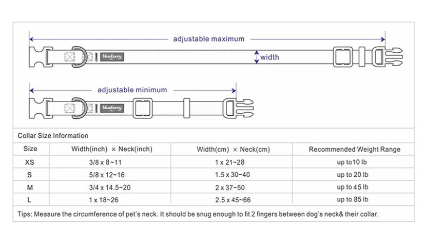 Blueberry Pet Floral Rose Print Turquoise Dog Collar – Large