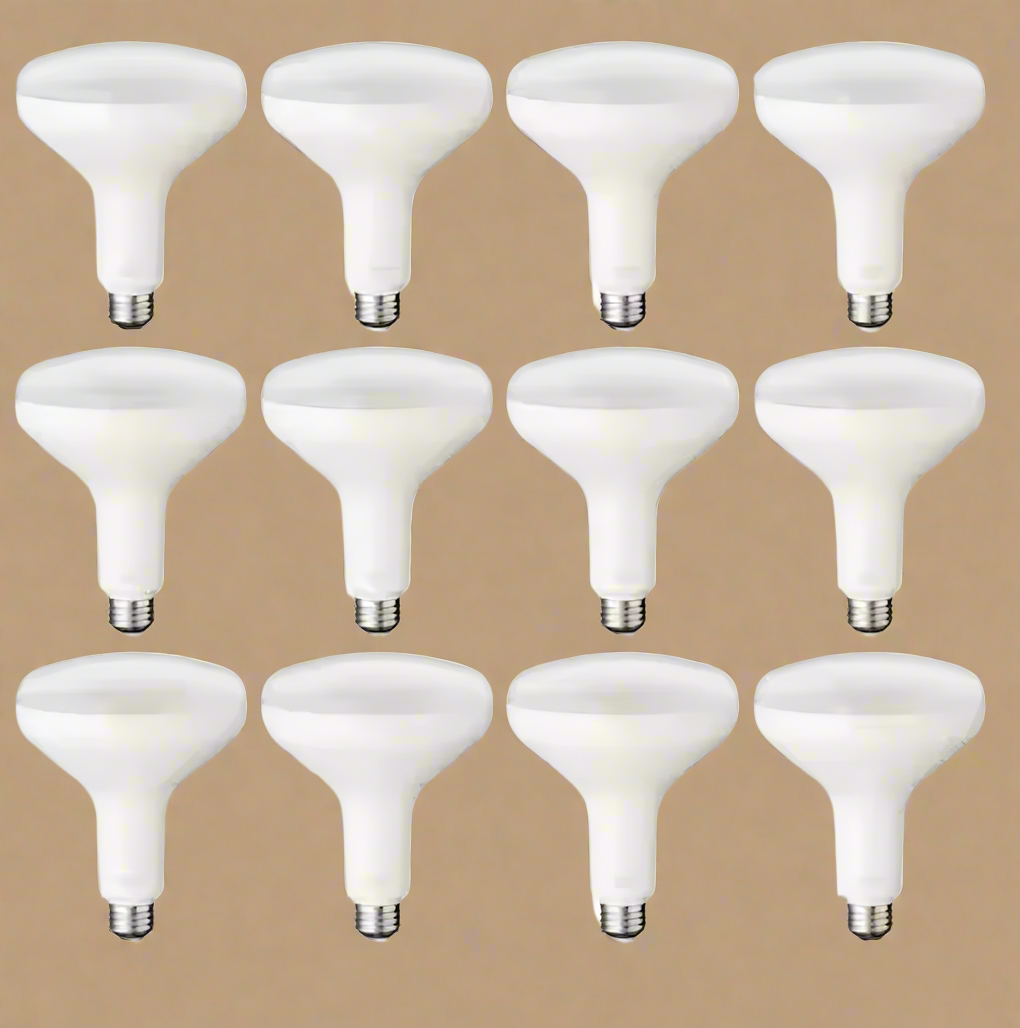 75-Watt Equivalent BR40 Dimmable LED Light Bulbs – Daylight (12-Pack)