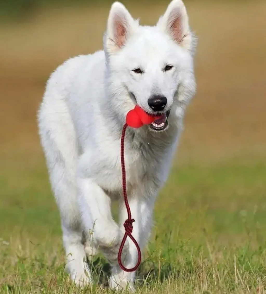 Durable Pear-Shaped Dog Toy with Rope Handle – Interactive Fetch & Tug Toy