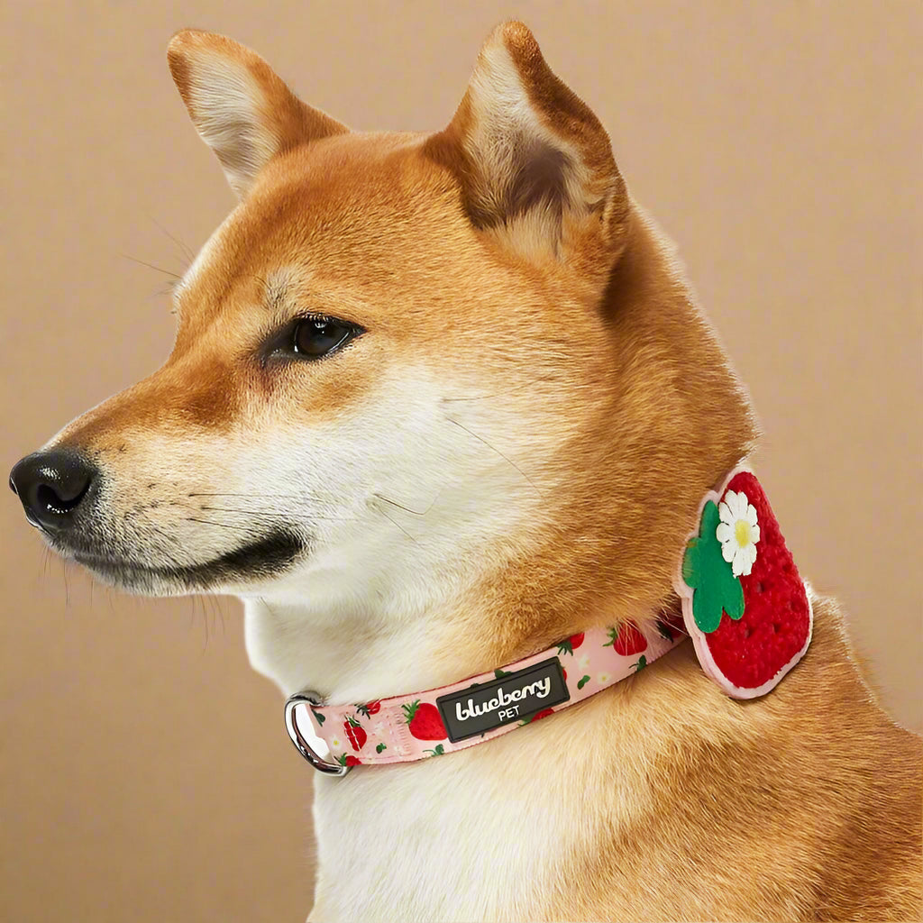 Blueberry Pet Zesty Fruit Dog Collar – Large