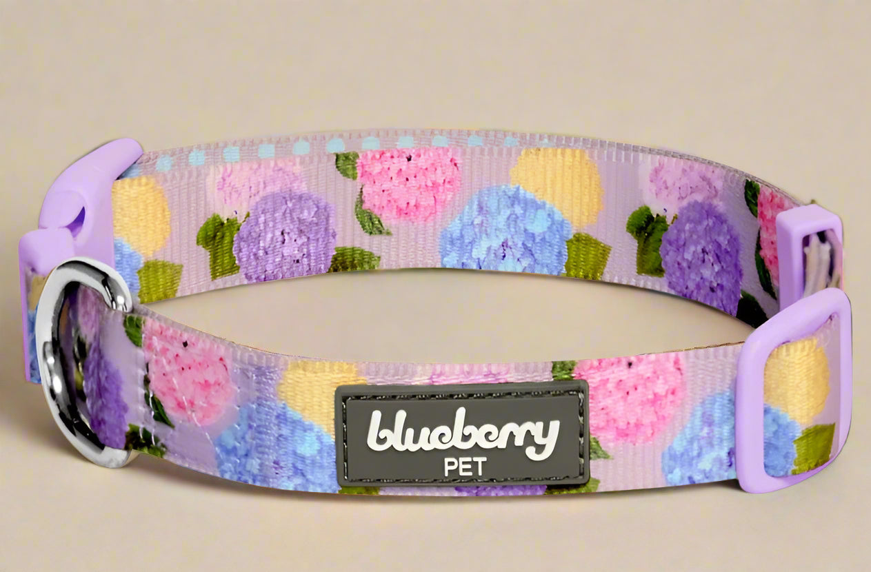 Blueberry Pet Rose Flower Print Padded Dog Collar – Large