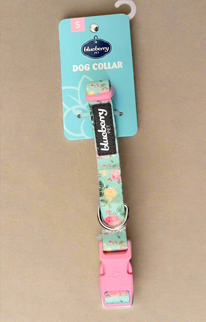 Blueberry Pet Floral Rose Print Turquoise Dog Collar – Large