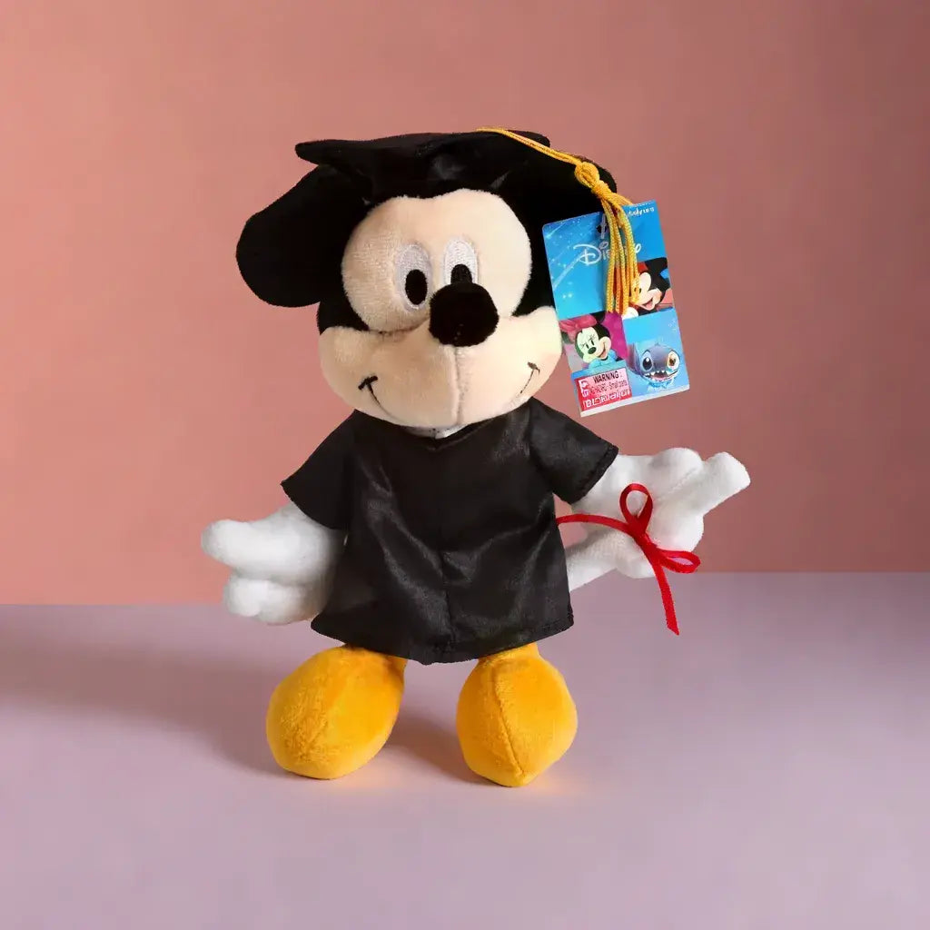 Disney Graduation in Disney Cuddly Toys